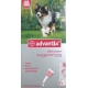 Bayer Advantix Chien Moyen 10 à 25kg 6 pipettes anti puces et tiques