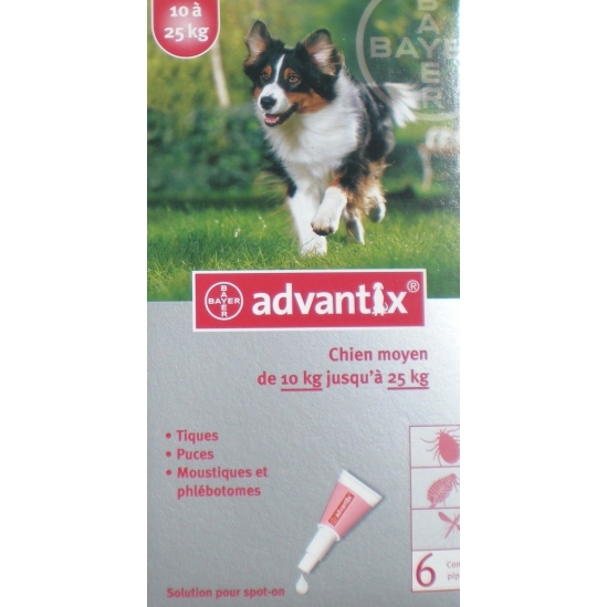 Bayer Advantix Chien Moyen 10 à 25kg 6 pipettes anti puces et tiques