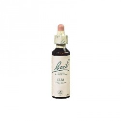 Fleurs de Bach original orme 20ml