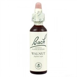 Fleurs de bach walnut 20ml