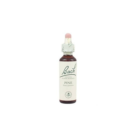 Fleurs de bach pine 20ml