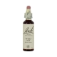 Fleurs de bach wild oat 20ml