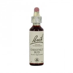 Fleurs de bach chesnut bud 20ml